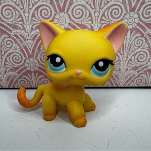 Littlest pet shop Short Hair cat #339